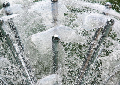 Close up of the dandelion sphere fountain